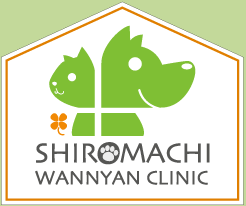SHIROMACHI WANNYAN CLINIC